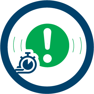 Report Icon
